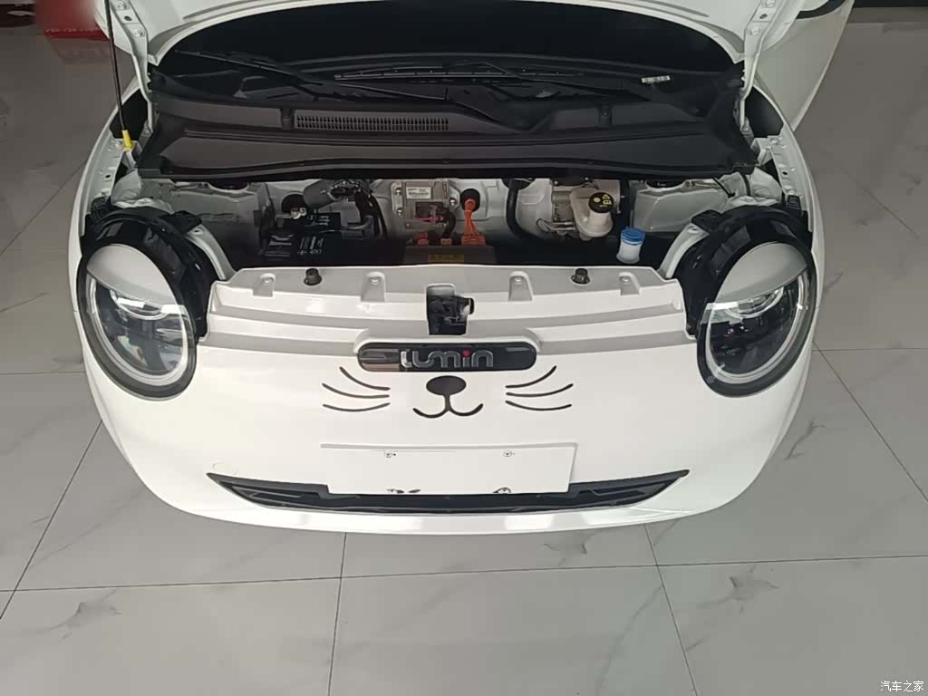 Changan Lumin, 2025 20
