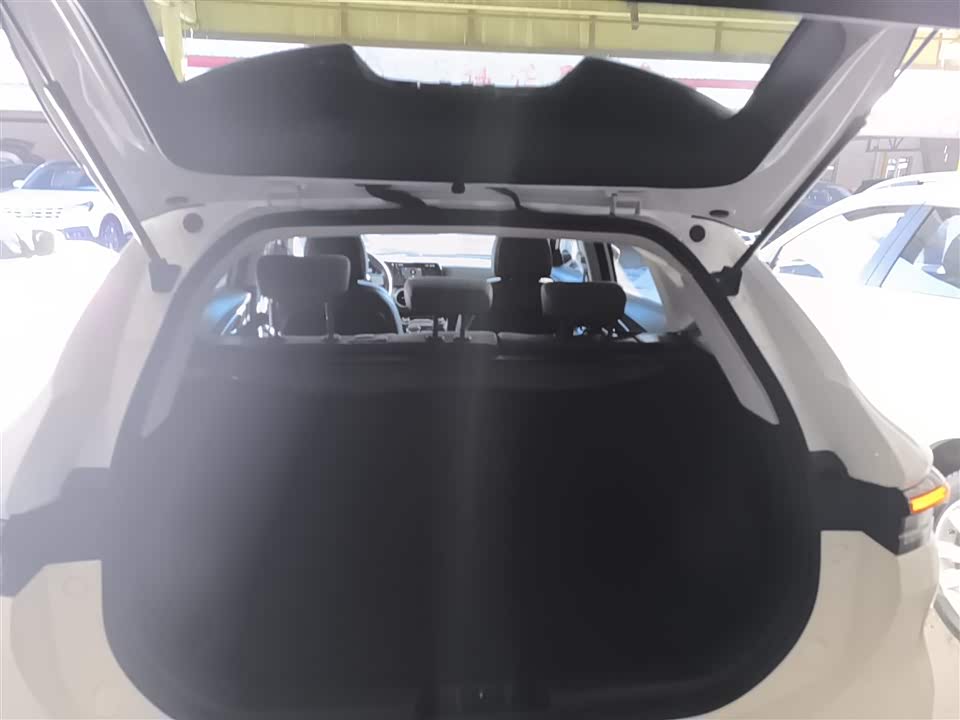 Forthing Popular T5 EVO