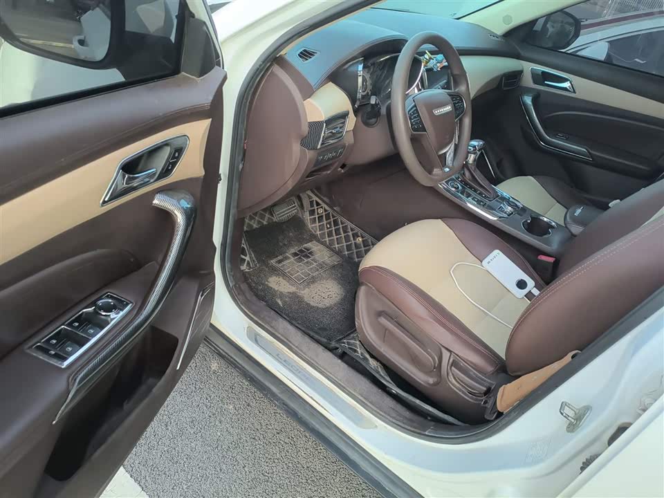 Leopaard Cheetah CS9