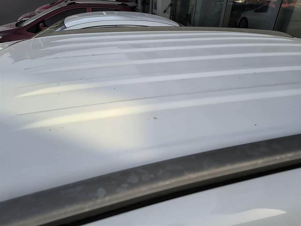 Leopaard Cheetah CS9