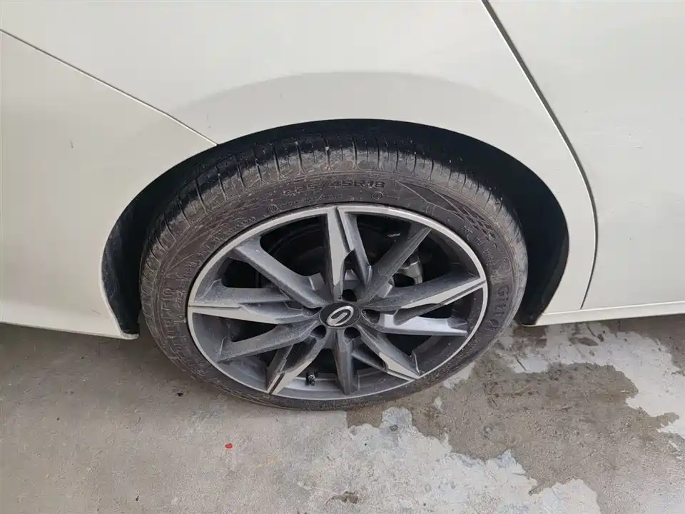 Trumpchi Shadow Leopard