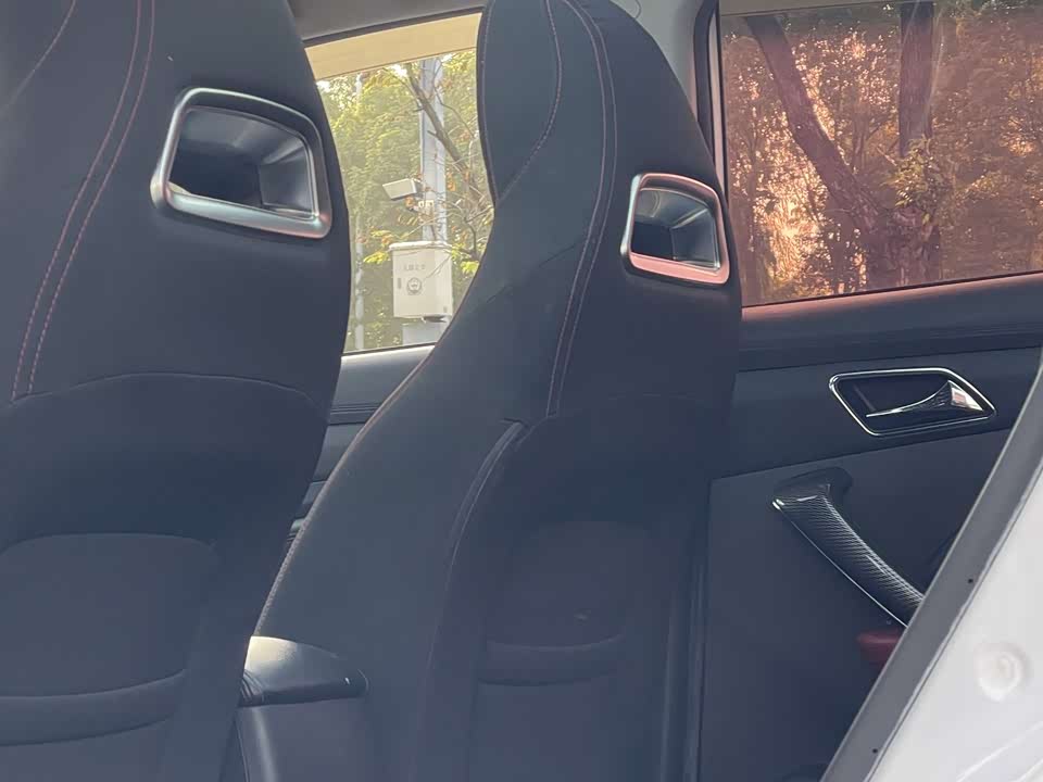 Leopaard Cheetah CS9