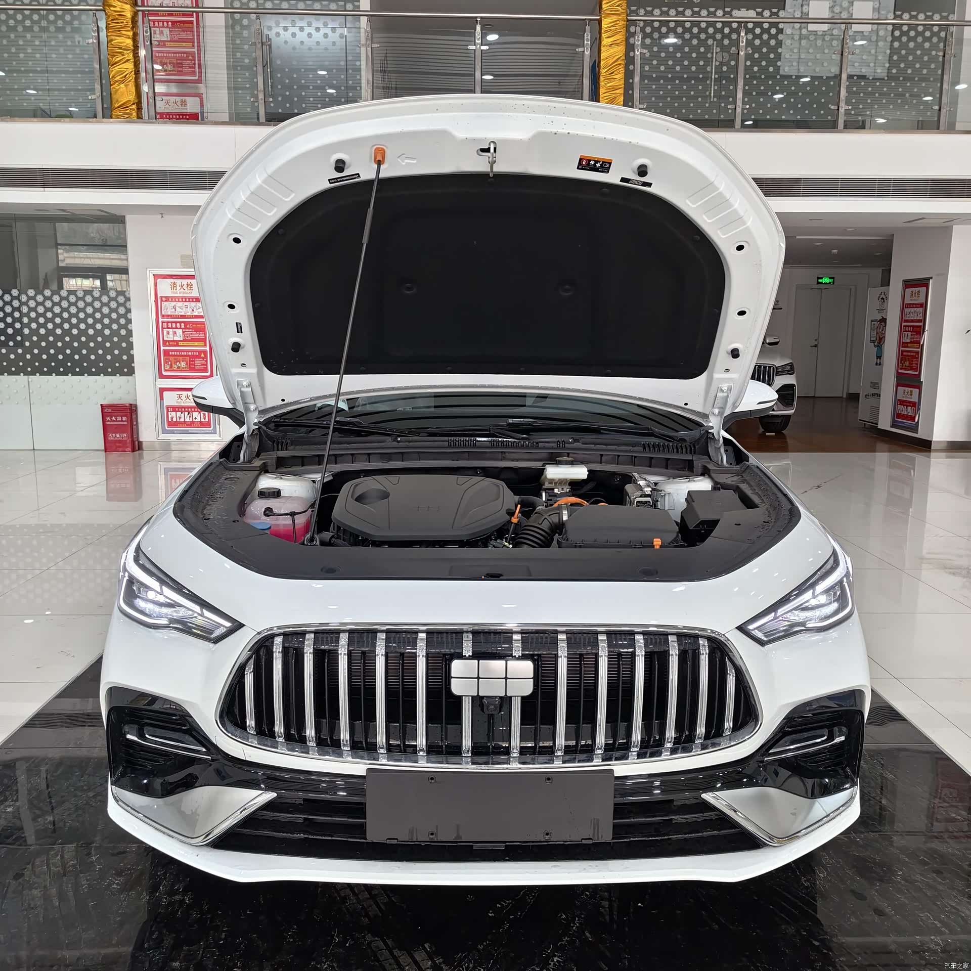 Geely 6, 2026 2