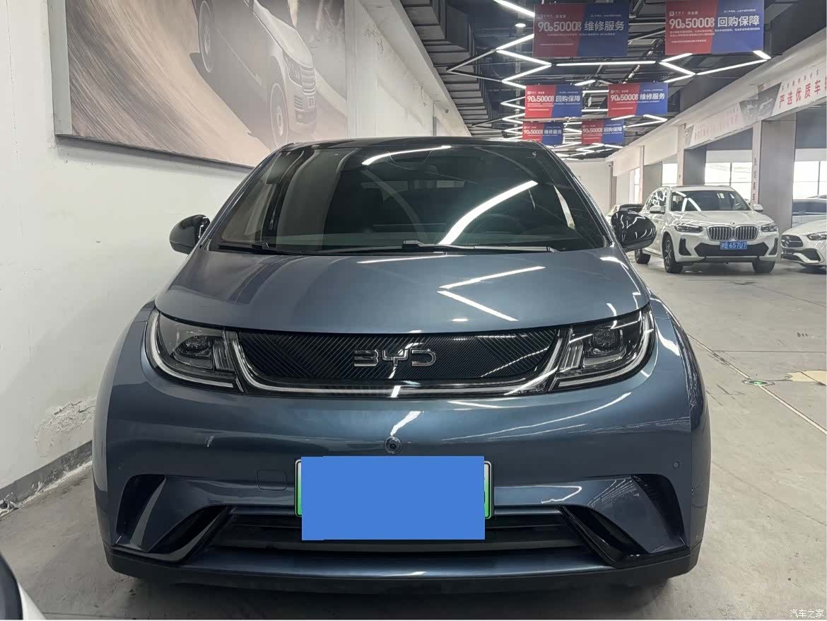 BYD Dolphin, 2024 8