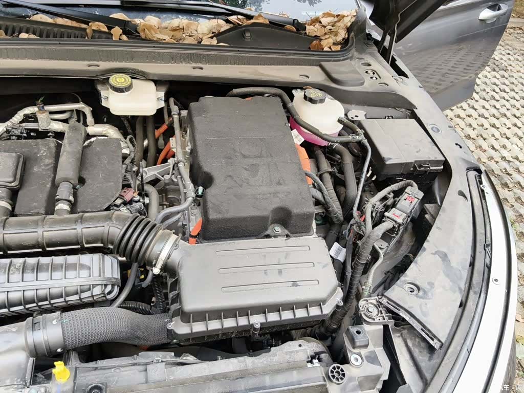 BYD Qin, 2024 23