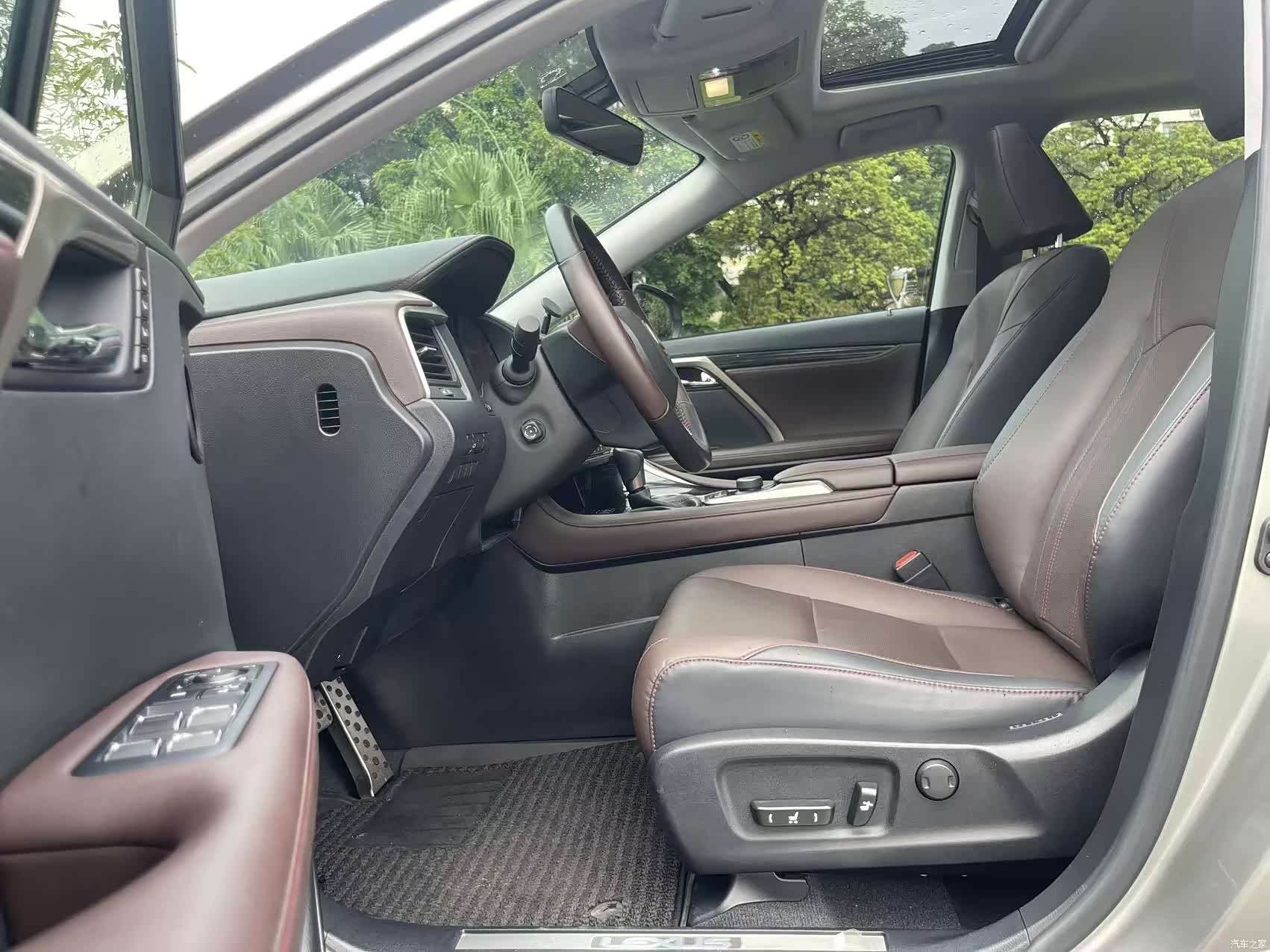 Lexus RX, 2019 10