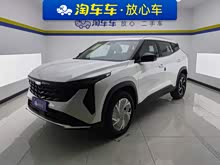 ��Խ 2024�� 1.5TD ����+