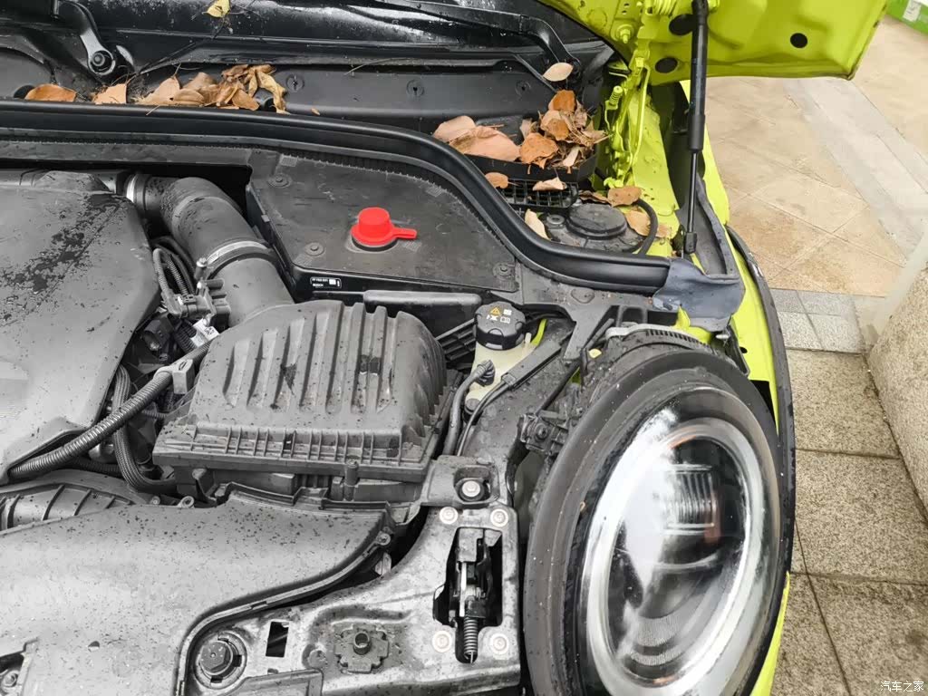 Mini Cooper, 2024 23