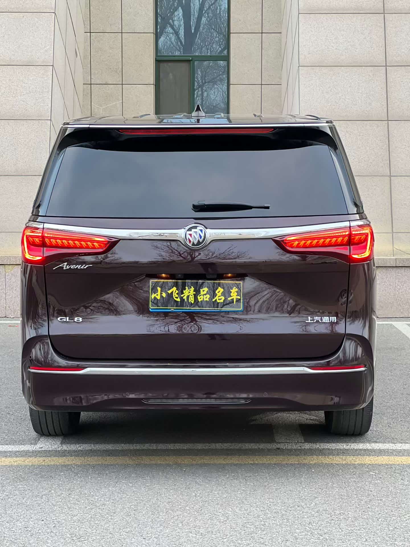 Buick GL8, 2021 6