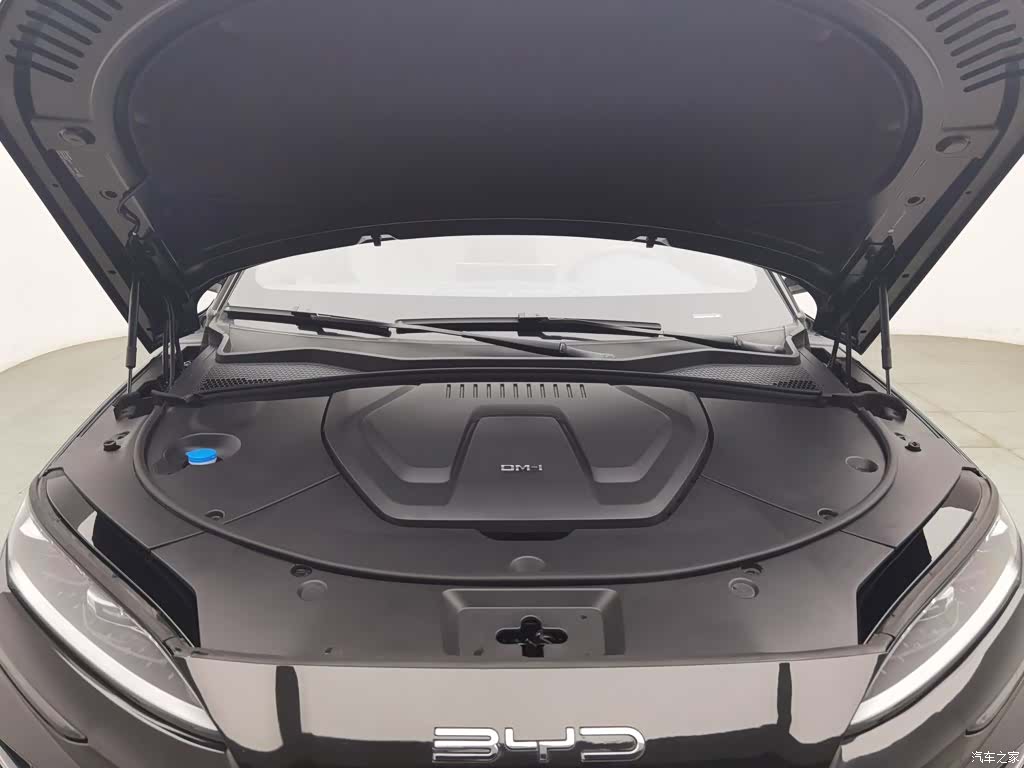 BYD Song, 2024 6