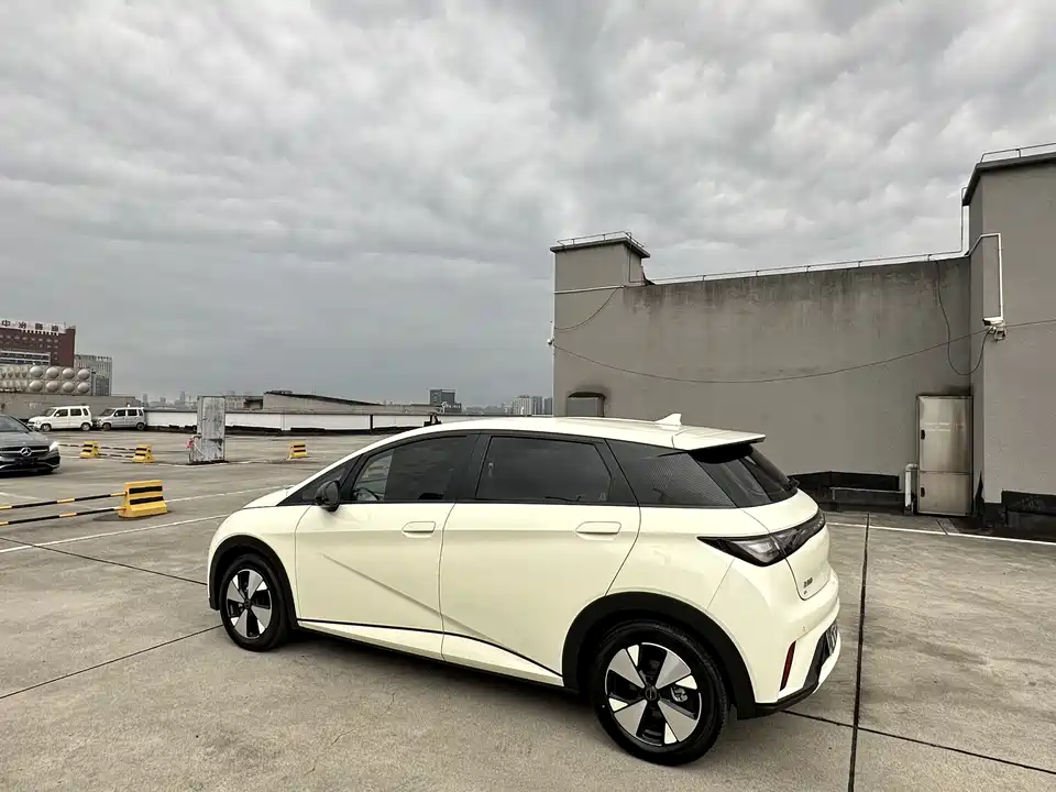 BYD dolphin BYD dolphin