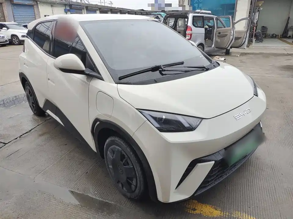 BYD Seagull
