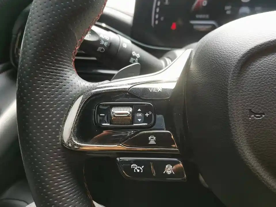 Trumpchi Shadow Leopard