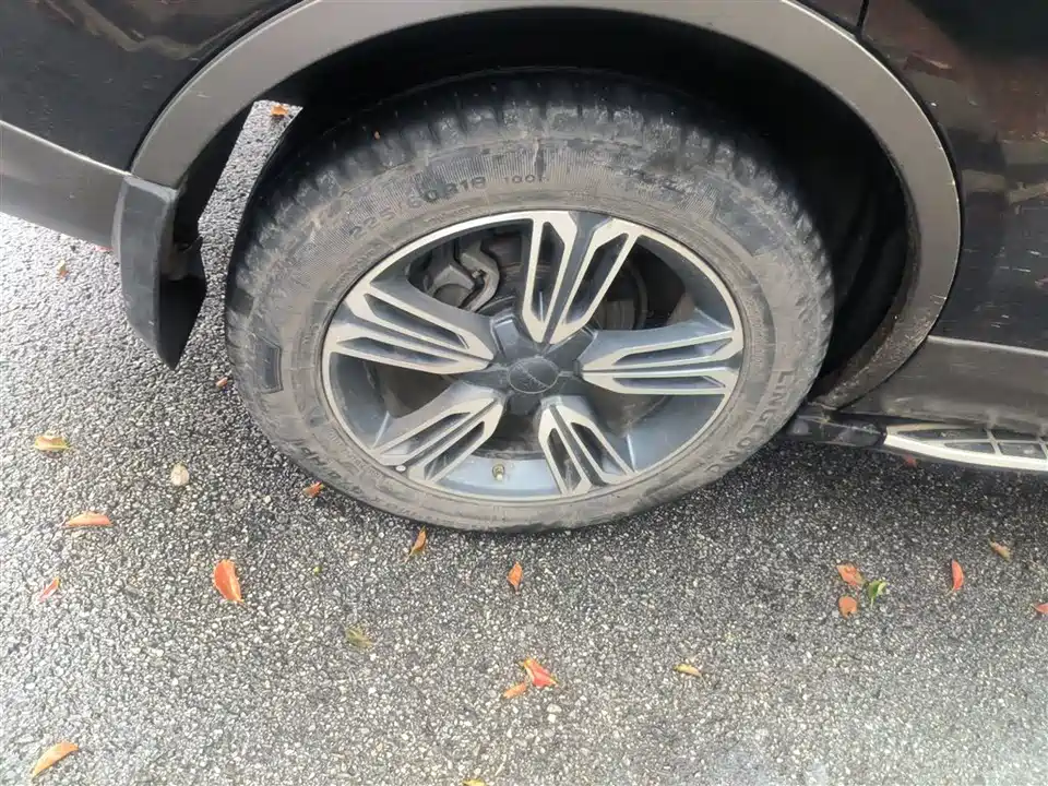 Leopaard Cheetah CS10