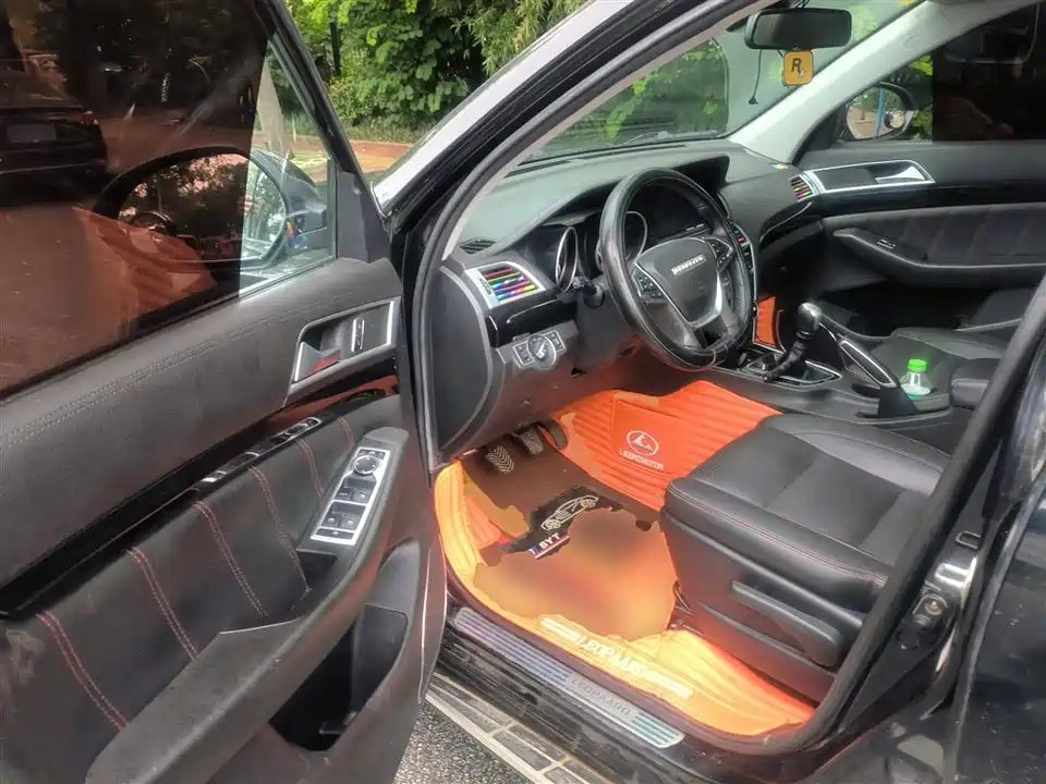 Leopaard Cheetah CS10