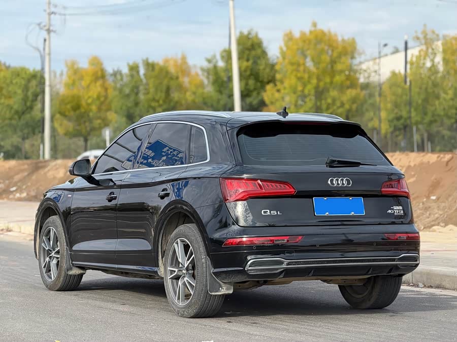 Audi Q5L 2019, фото 10