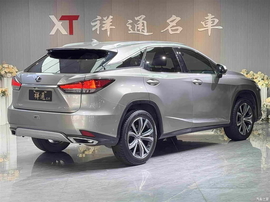 Lexus RX, 2022 25