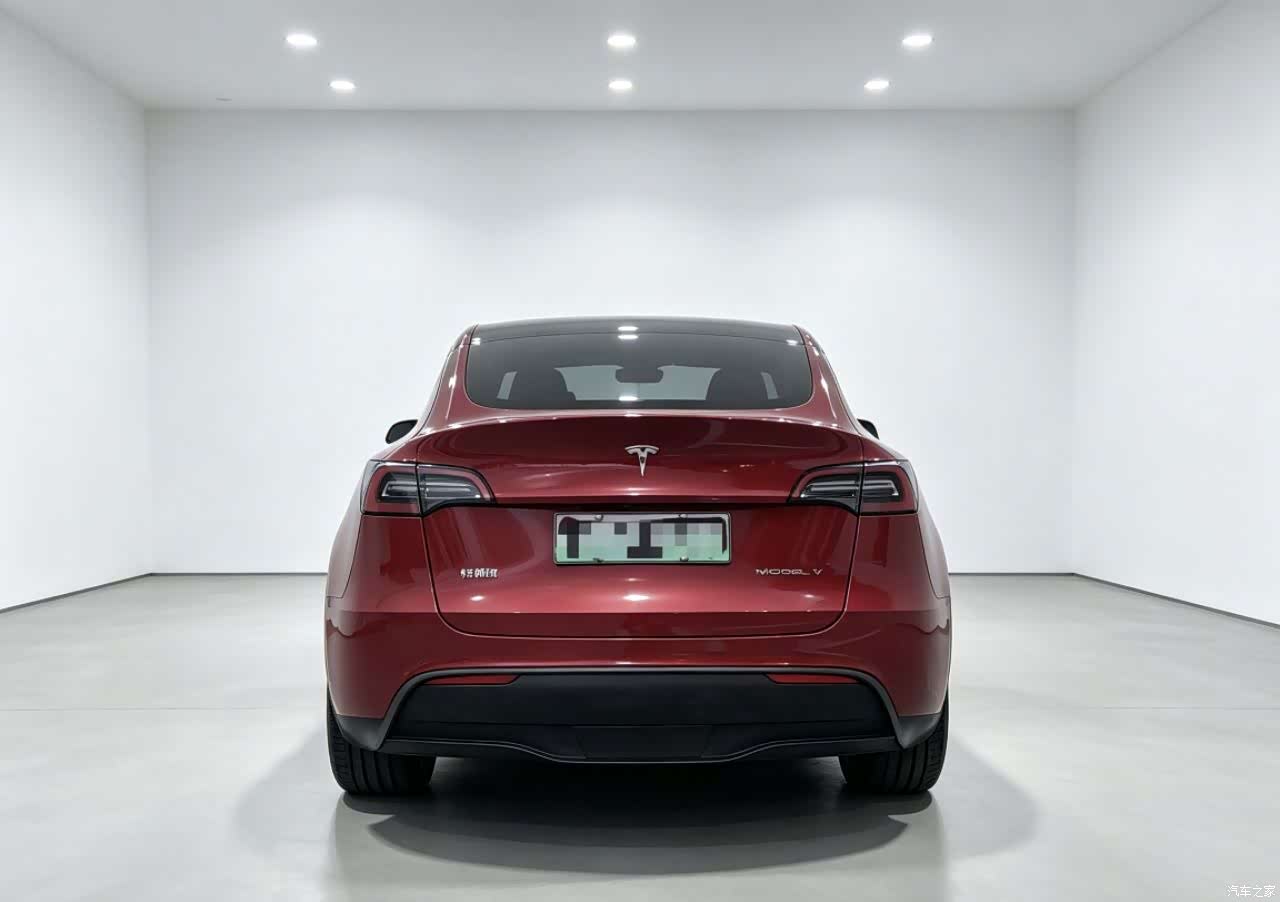 Tesla Model Y, 2021 8