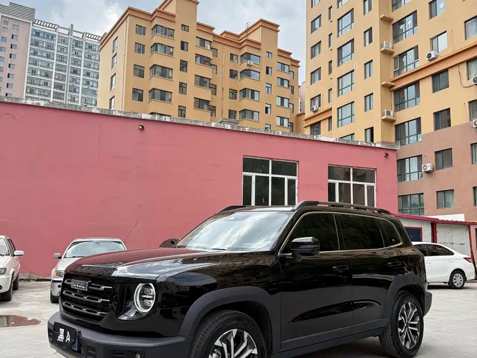 Haval Big dog