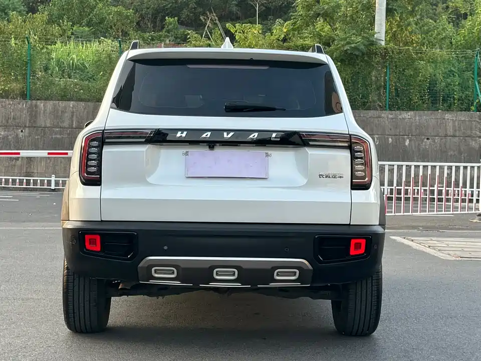 Haval Big dog