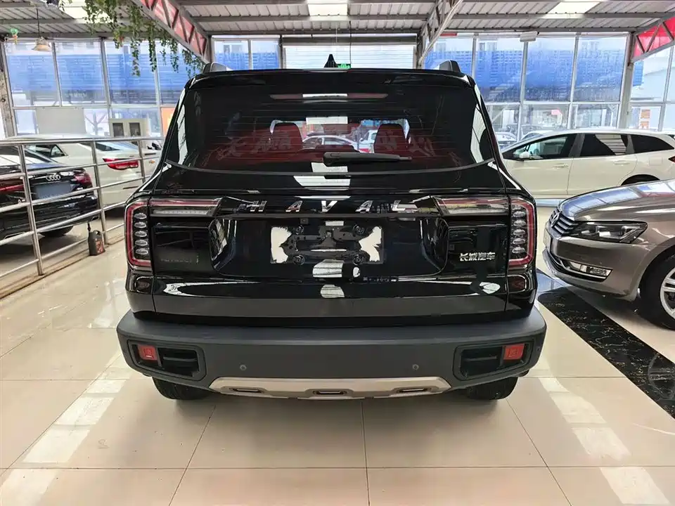 Haval Big dog