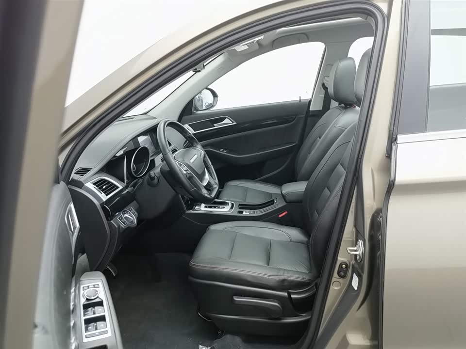 Leopaard Cheetah CS10