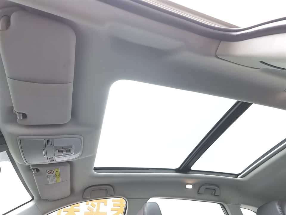 Leopaard Cheetah CS10