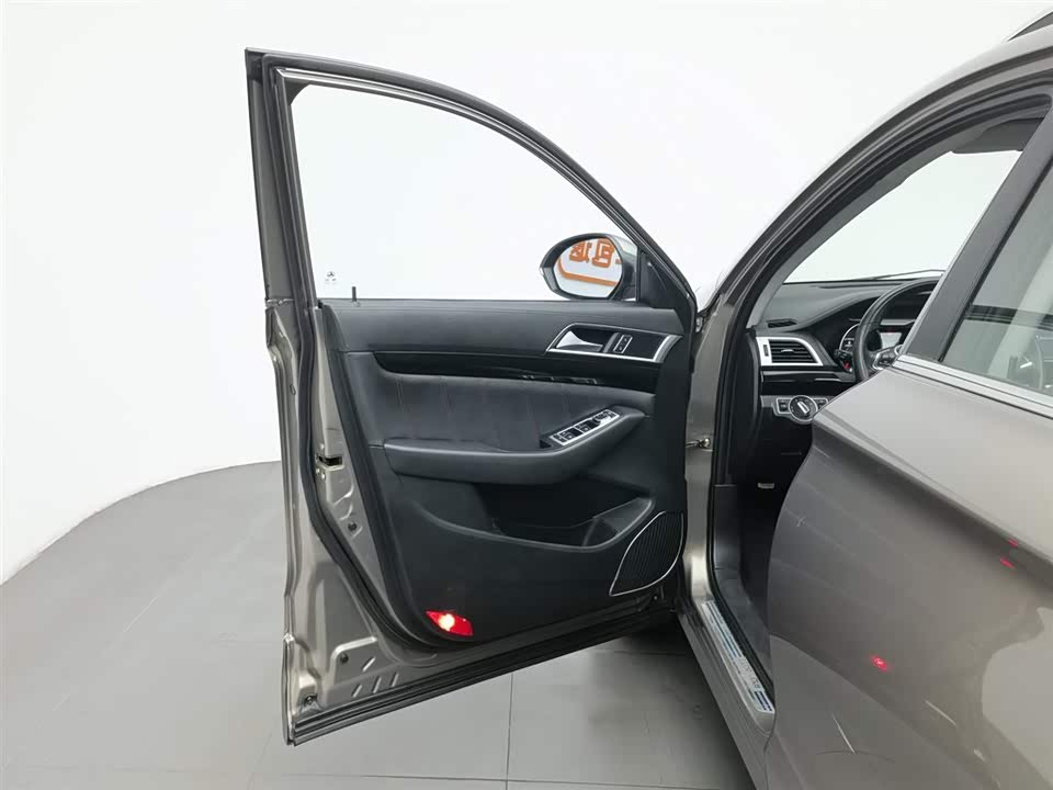 Leopaard Cheetah CS10