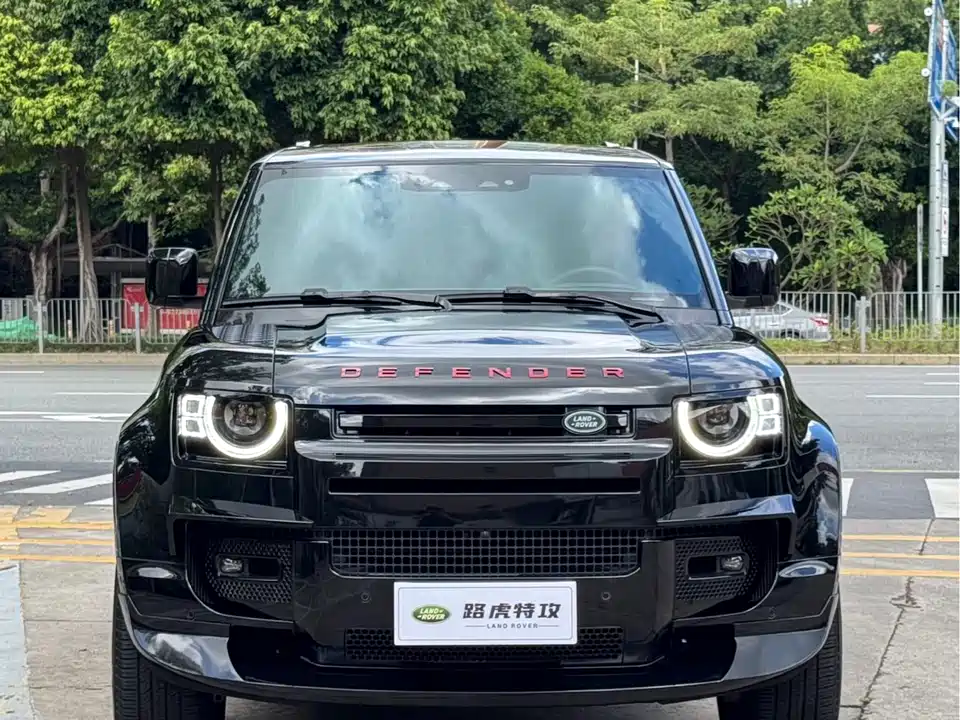 Land Rover guard