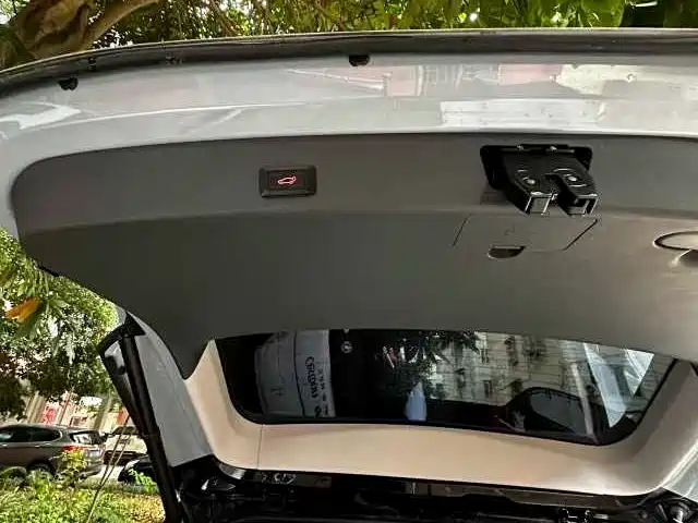 ARCFOX Polar fox koala