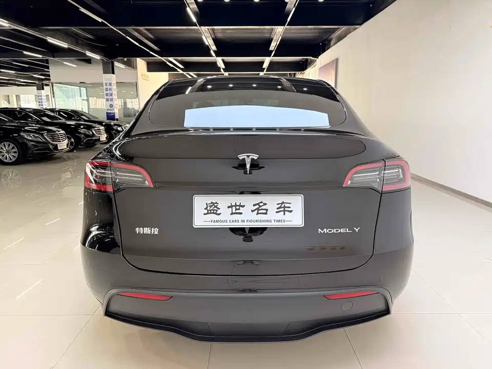 Tesla Model Y Tesla Model Y