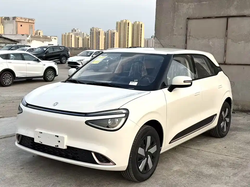 Dongfeng Nammi Nano 01