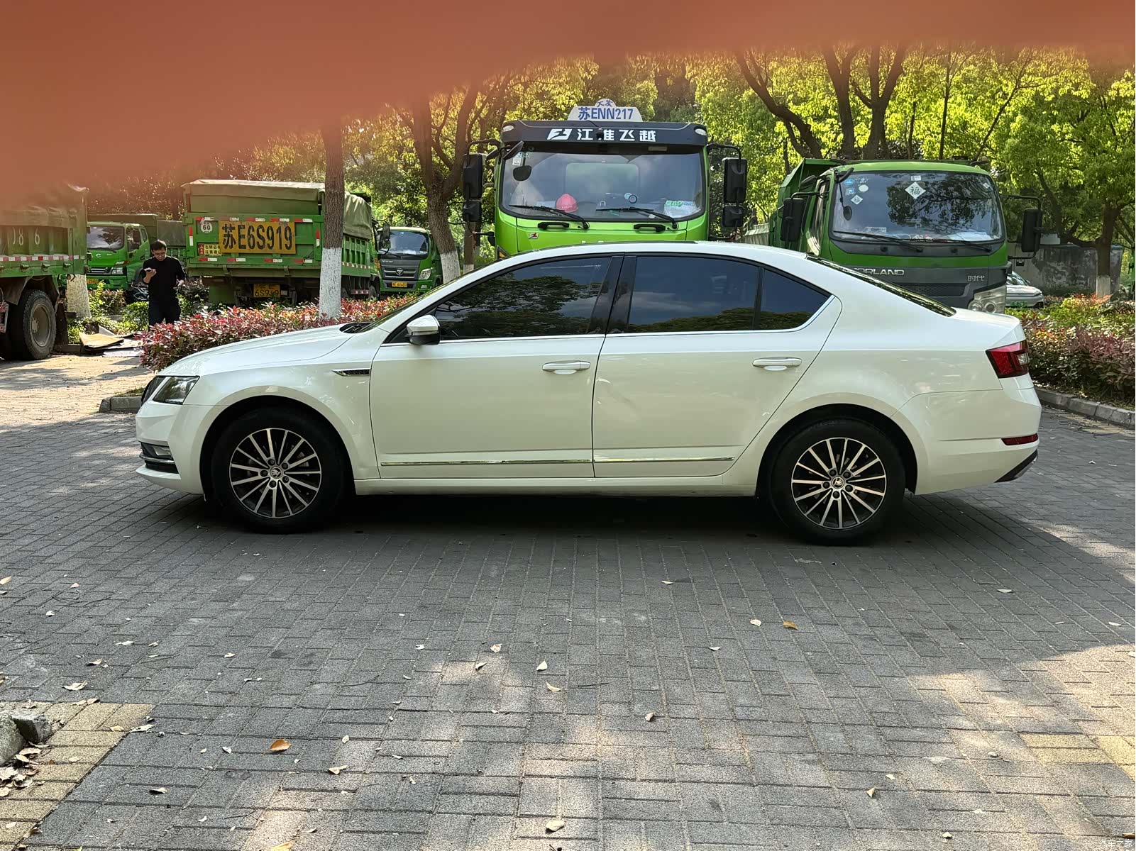 Skoda Octavia, 2019 14