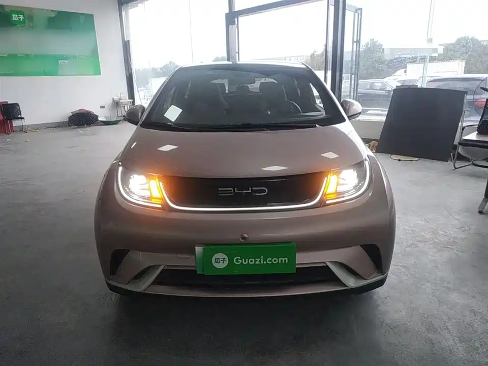 BYD dolphin