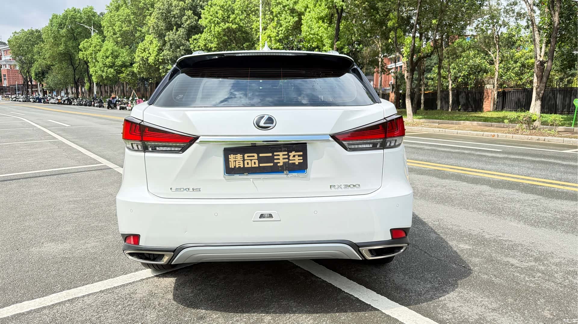 Lexus RX, 2021 4