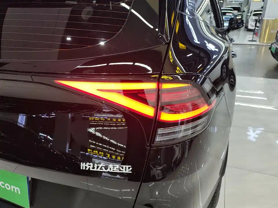 Kia Lion Platinum expands the world