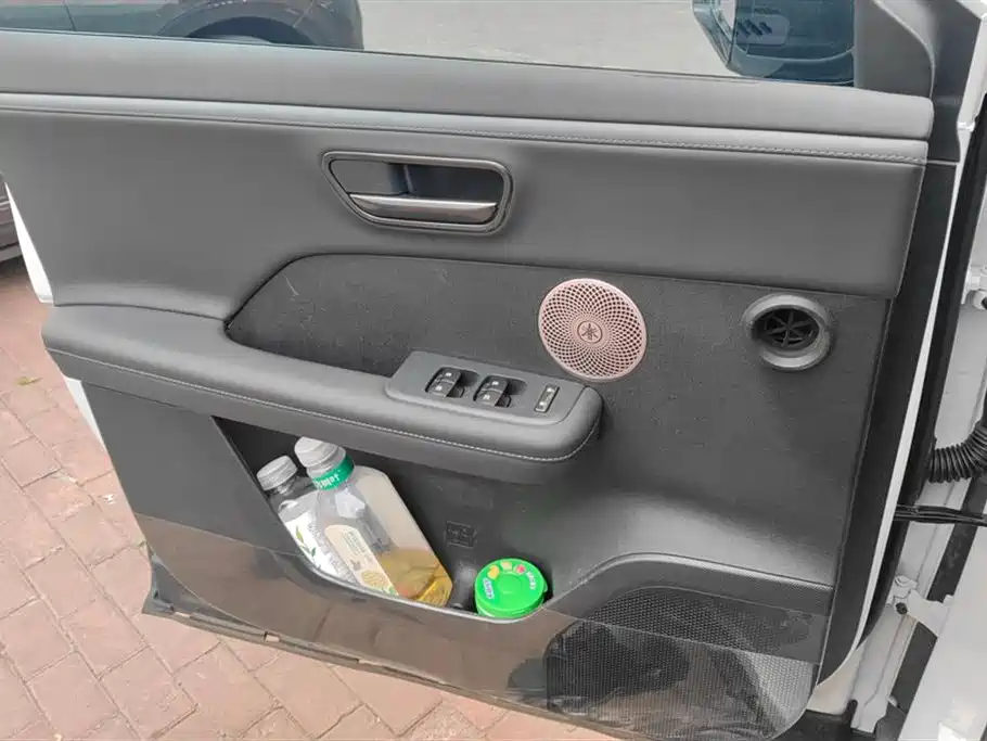 Toyota Platinum Wisdom 4X