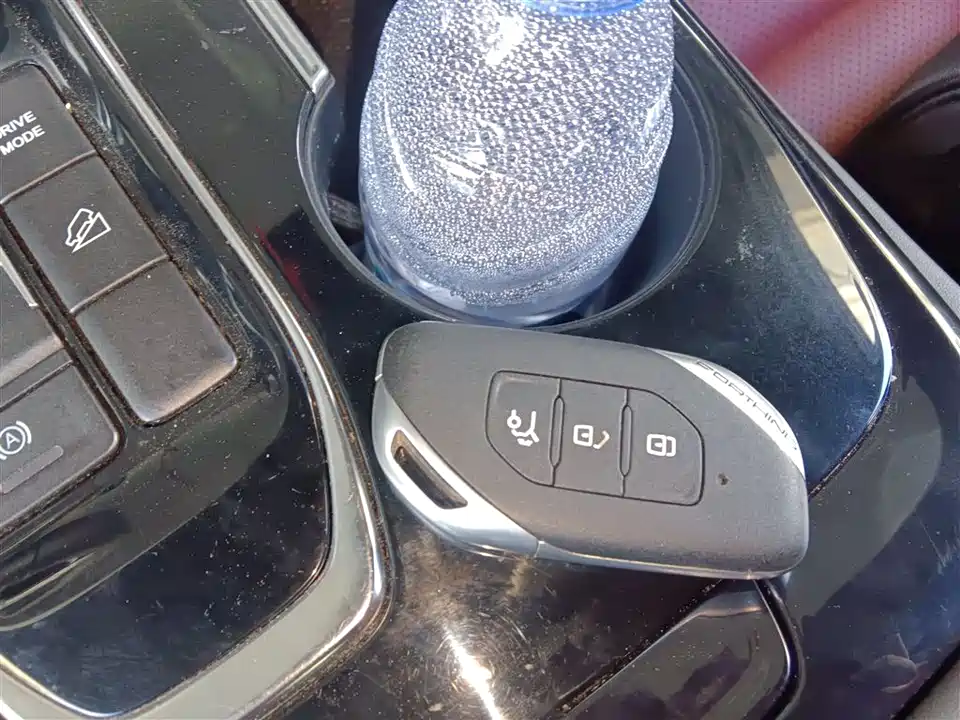 Forthing Popular T5 EVO