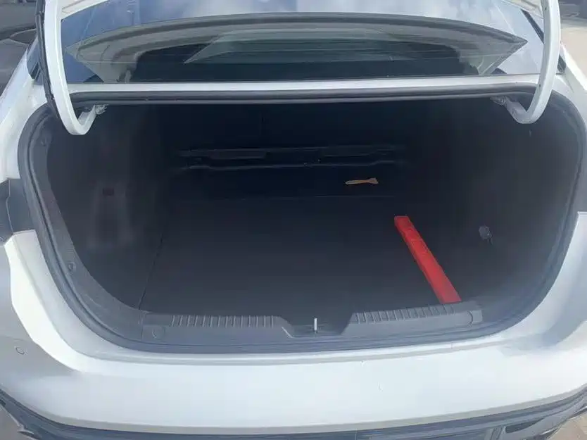 Trumpchi Shadow Leopard