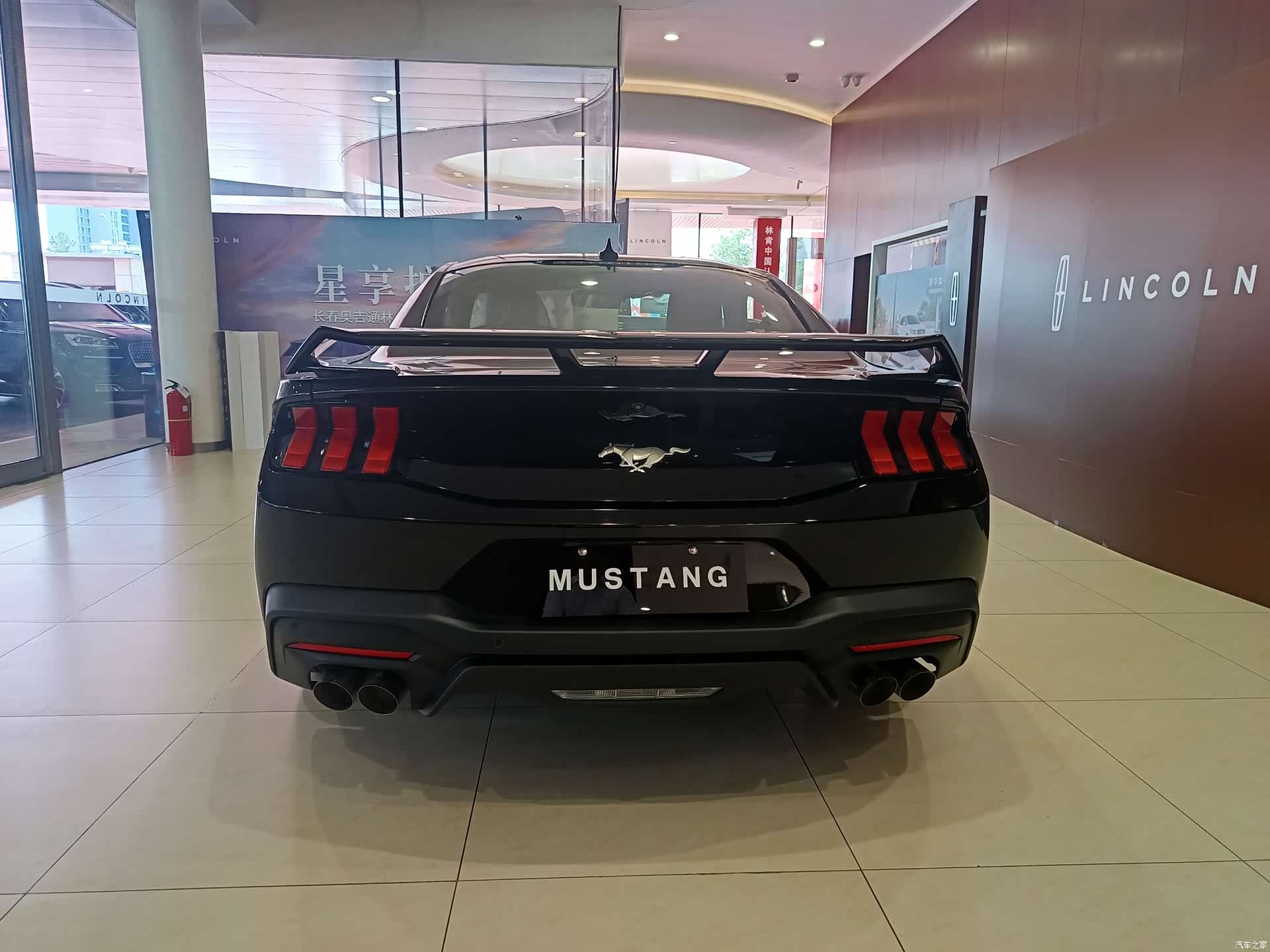 Ford Mustang, 2024 все фото