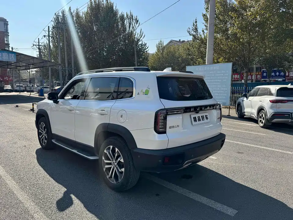Haval Big dog