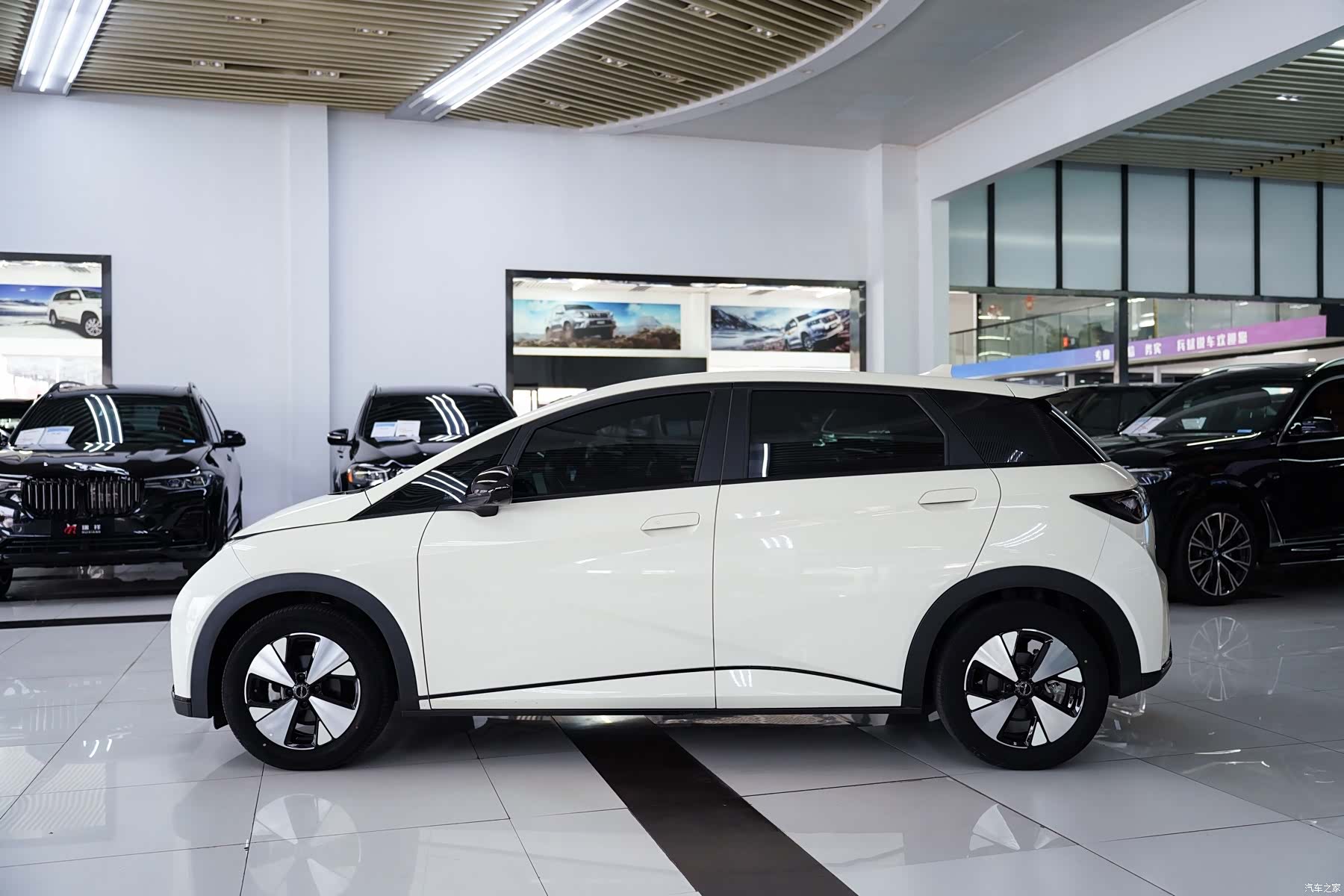 BYD Dolphin, 2023 2