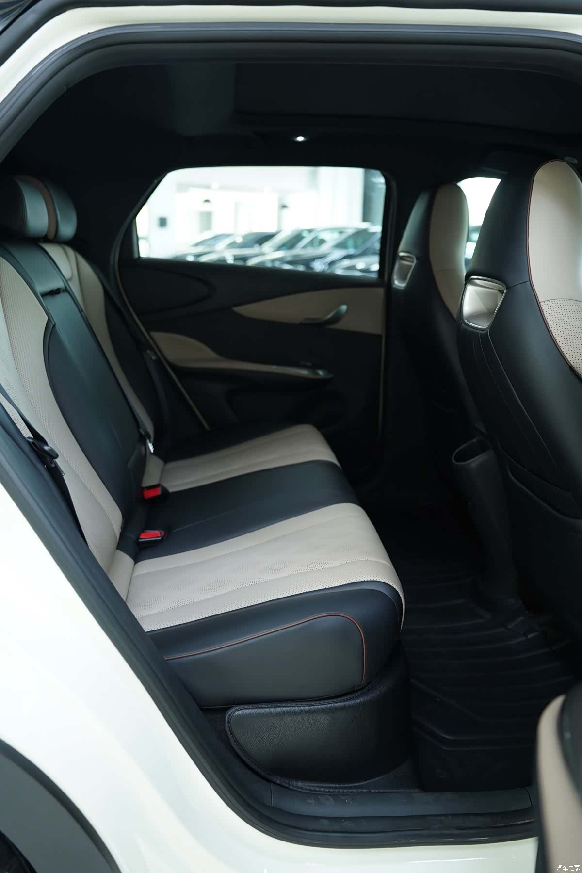 BYD Dolphin, 2023 12