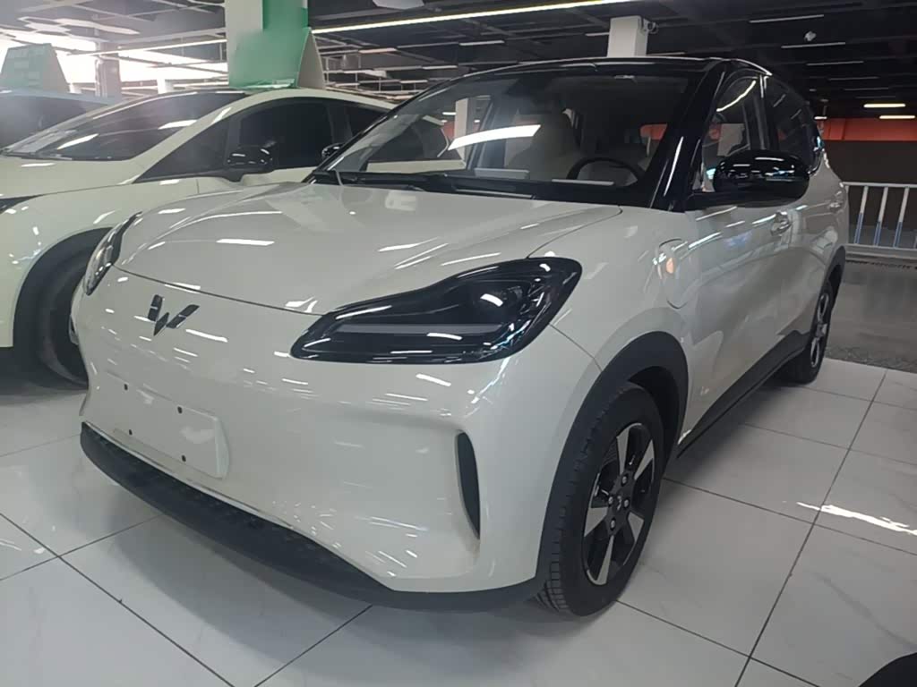 Wuling BinguoPLUS PLUS 2024 401km мест