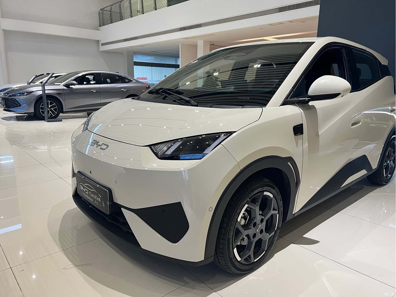 BYD Seagull, 2025 2