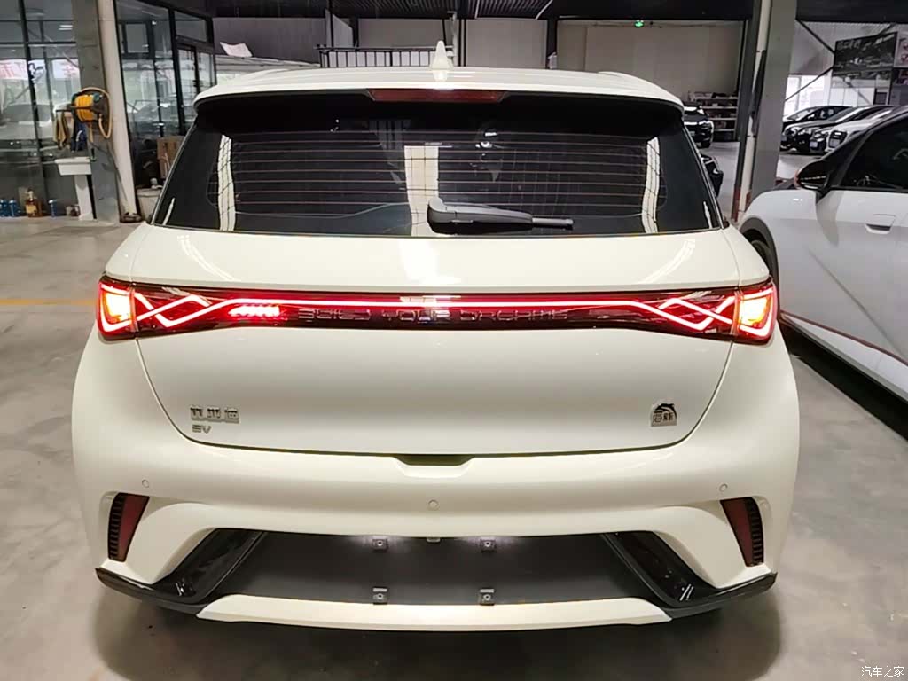 BYD Dolphin, 2023 6