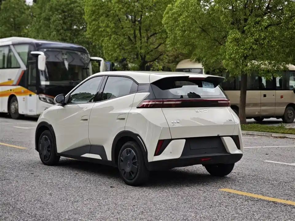 BYD Seagull