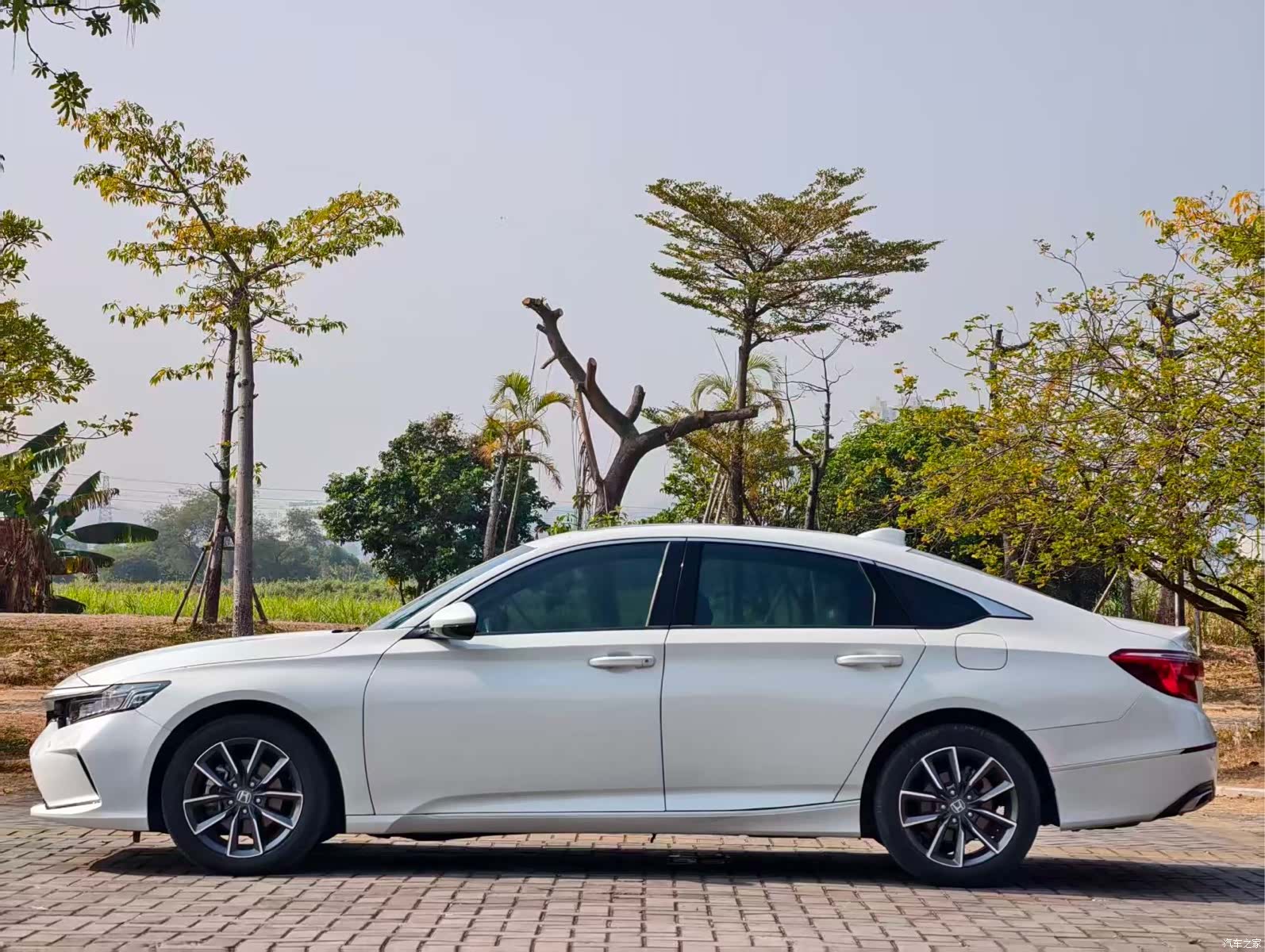 Honda Inspire, 2022 все фото