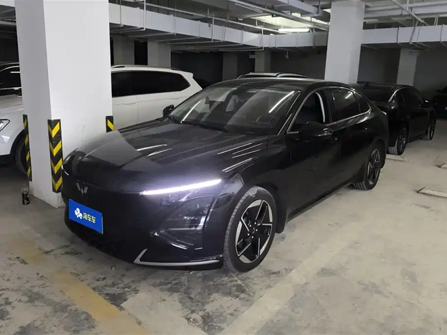 Wuling Wuling Starlight