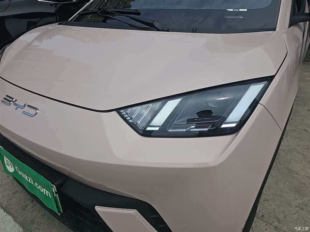 BYD Seagull, 2023 24